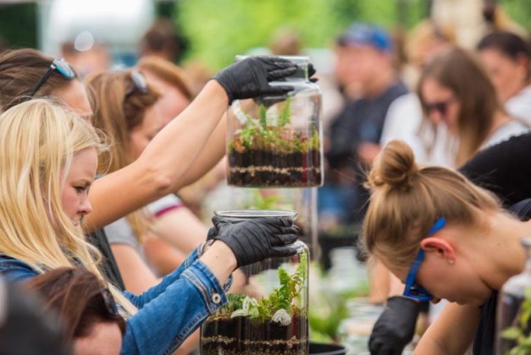 Event Ekologiczny – piknik firmowy w klimacie eko, bliżej natury
