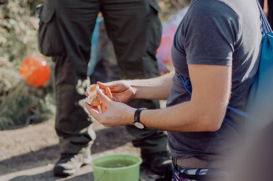 zadanie w grze terenowej, jedzenie jaja