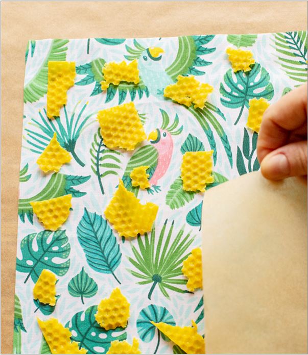 eko warsztaty woskowijka