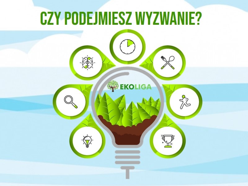 grywalizacja eko liga by argentum event